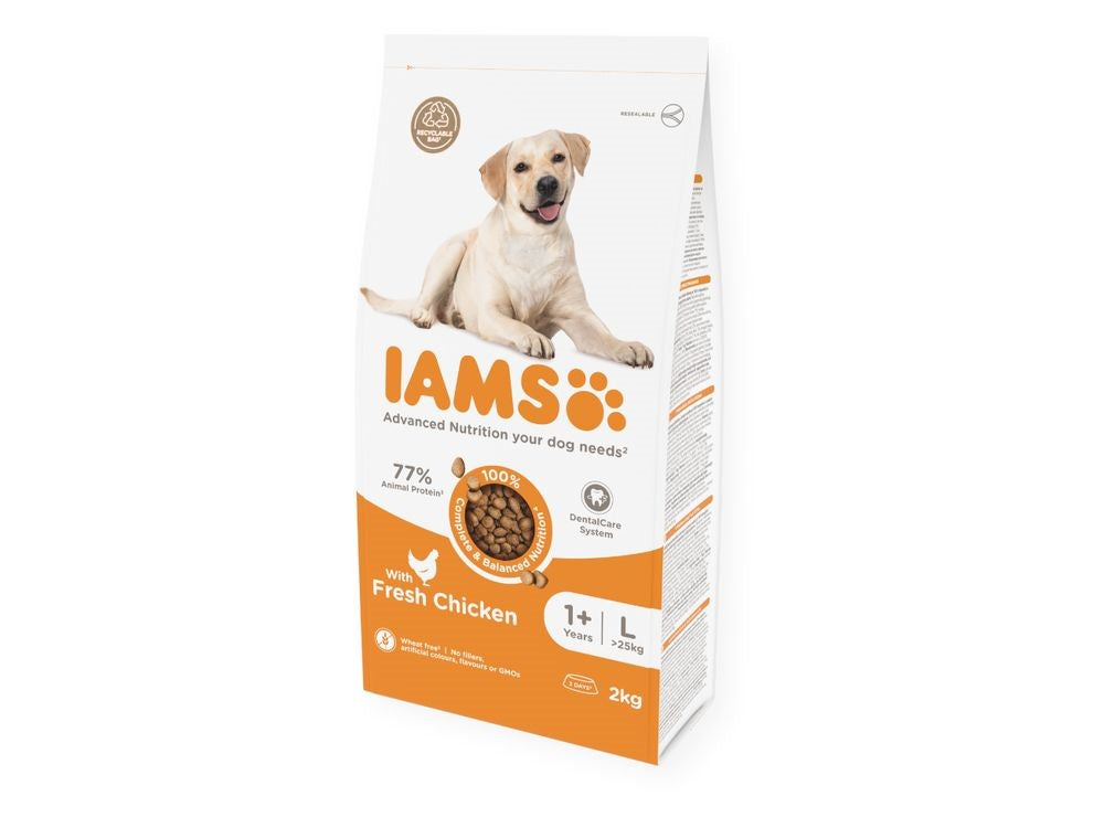 IAMS DOG 2KG ADULT LARGE CHICKEN