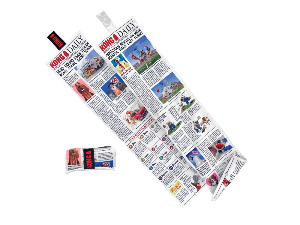 KONG DAILY NEWSPAPER XL