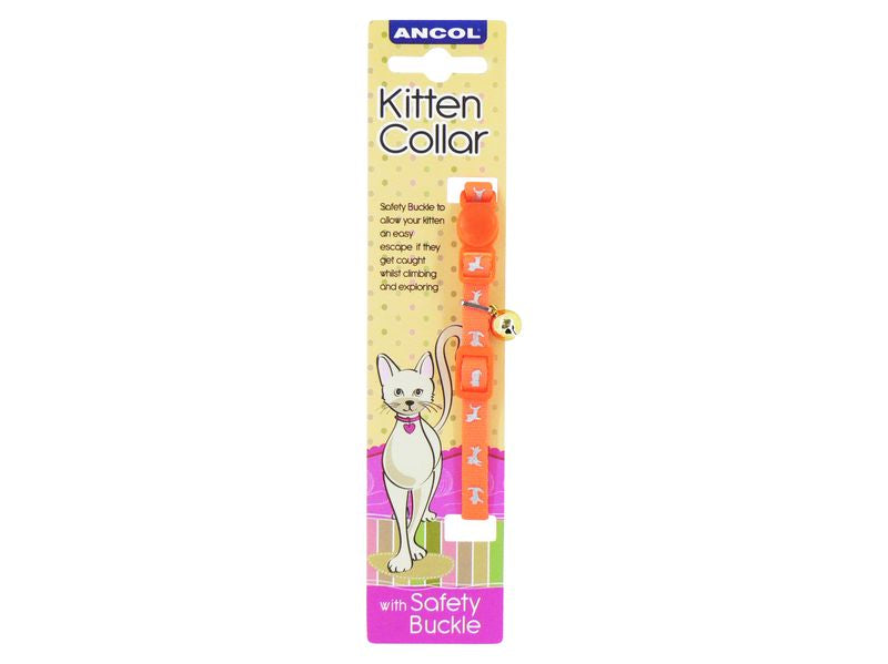 HI-VIS SAFETY KITTEN COLLAR ORANGE