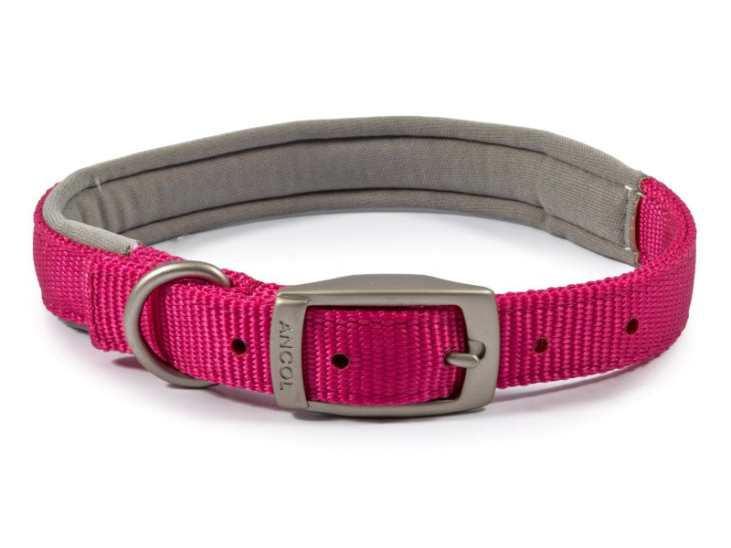 Viva Padded Nylon Collar