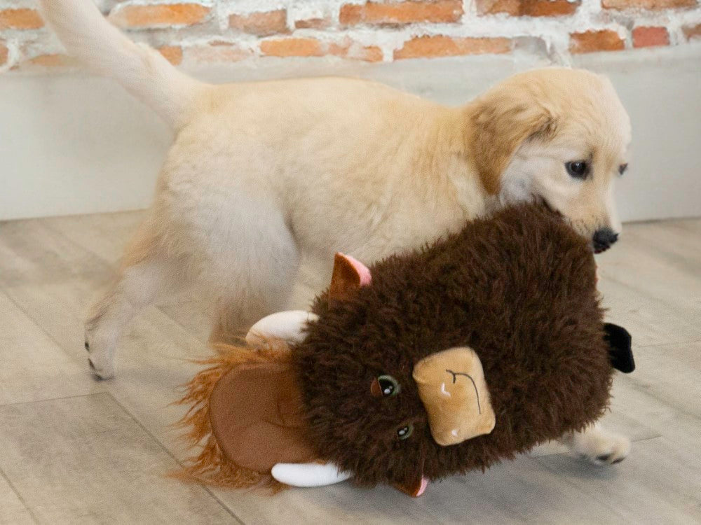 Kong comfort jumbo Highland cow XL