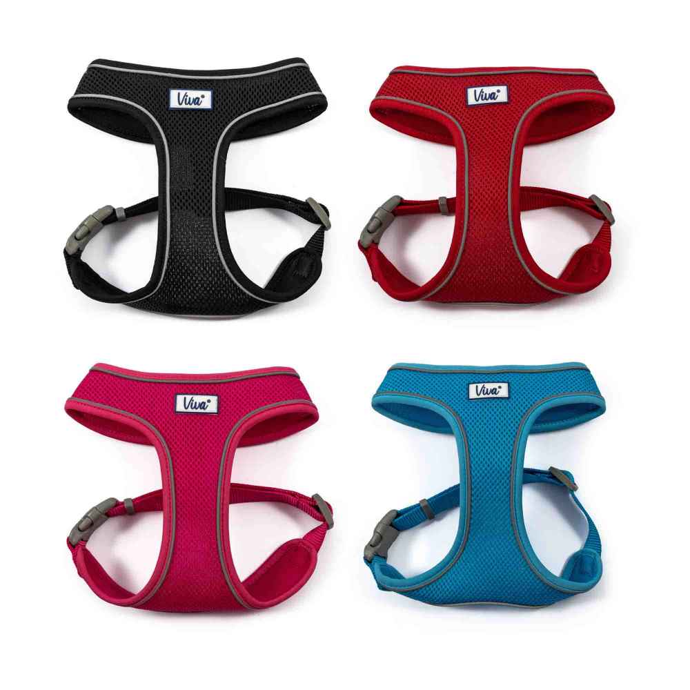 Viva Comfort Mesh Dog Harness