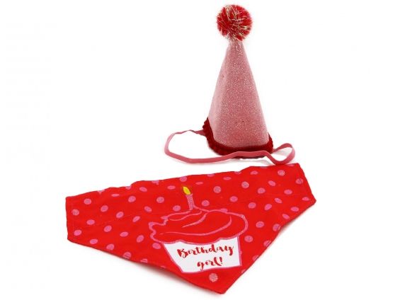 PAWTY TIME BIRTHDAY HAT & BANDANA PINK