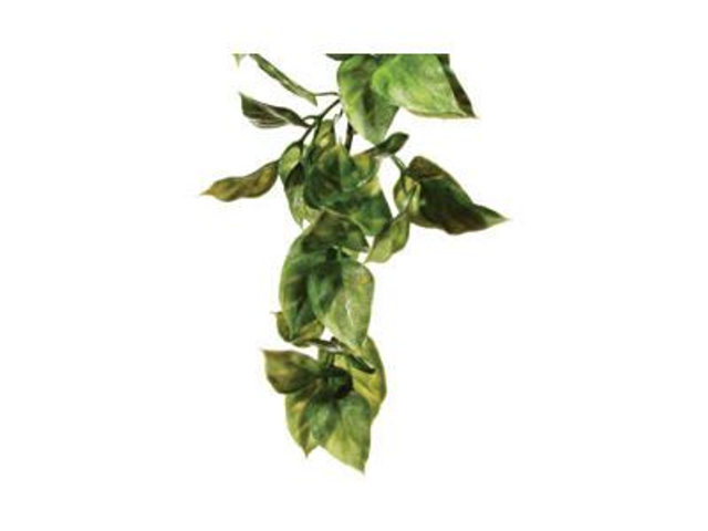 EXO TERRA PLANT MED AMAPALLO