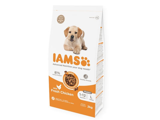 IAMS DOG 2KG PUPPY LARGE CHICKEN