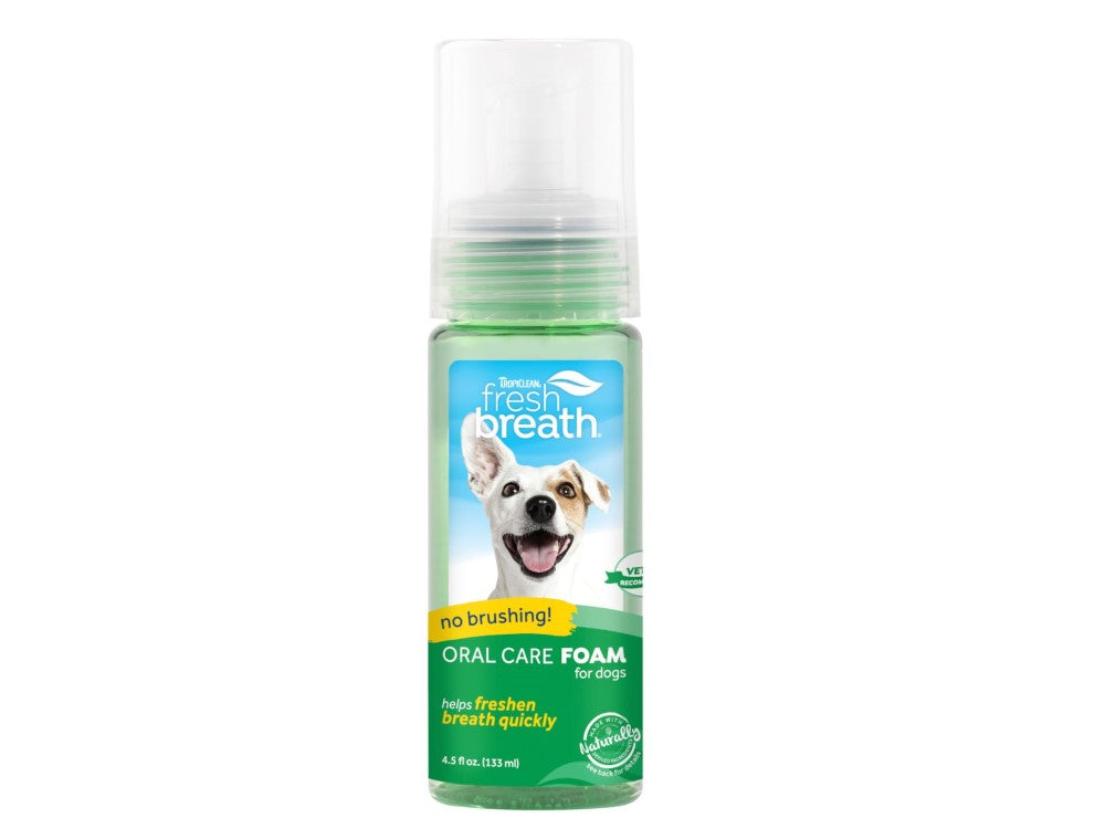 FRESH BREATH ORAL CARE FOAM 133ML
