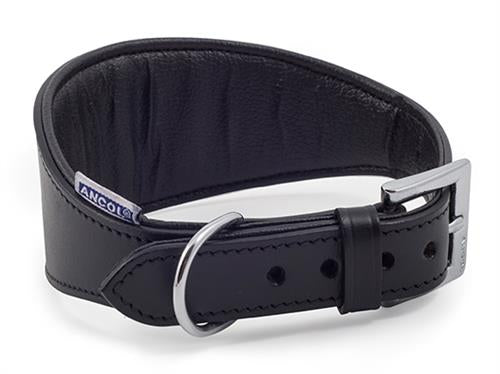 GREYHOUND PADDED COLLAR BLACK S4/5