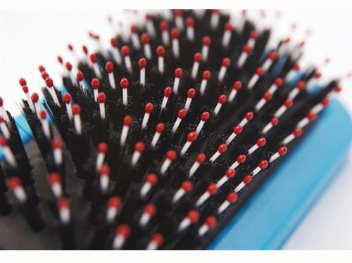 Ancol ergo Hedgehog Slicker Brush