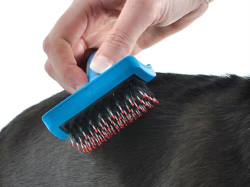 Ancol ergo Hedgehog Slicker Brush