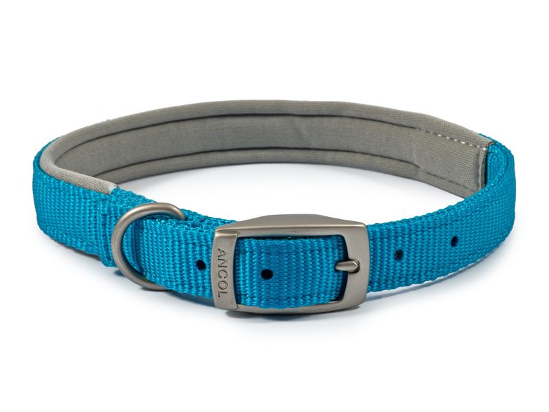 Viva Padded Nylon Collar