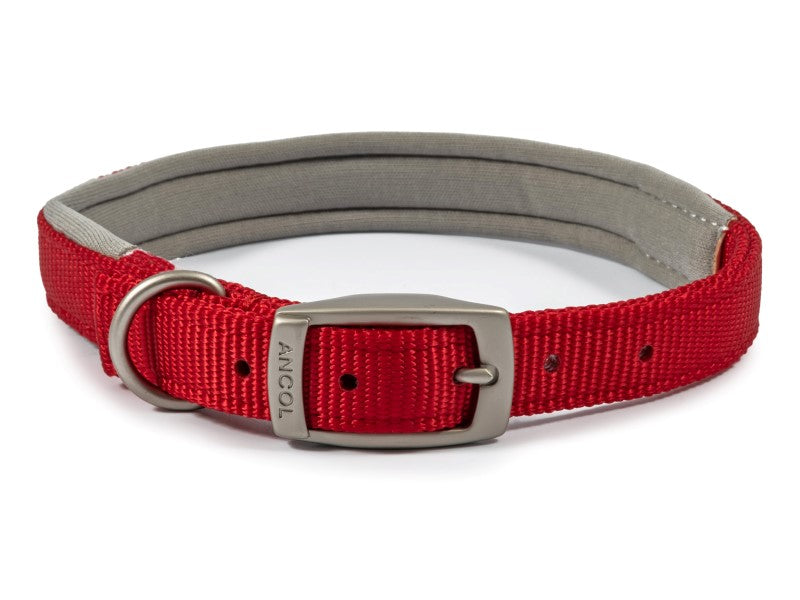 Viva Padded Nylon Collar