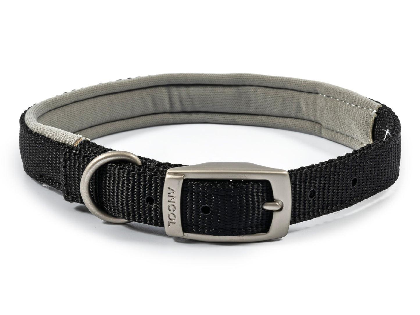 Viva Padded Nylon Collar