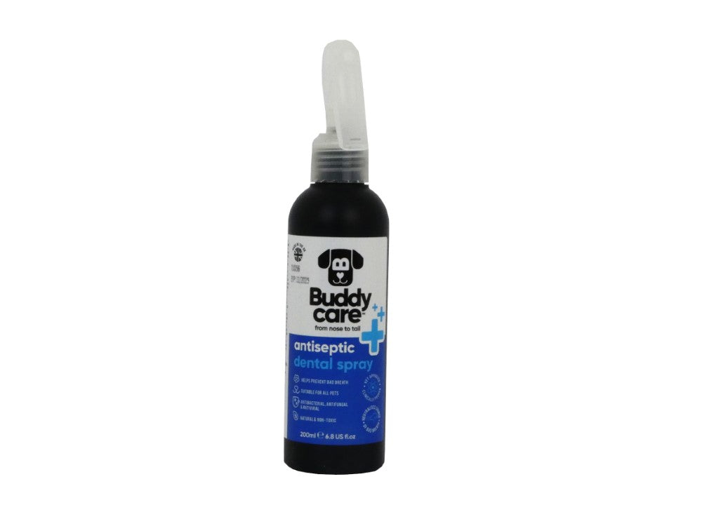 BUDDYCARE 200ML ANTISEPTIC DENTAL SPRAY
