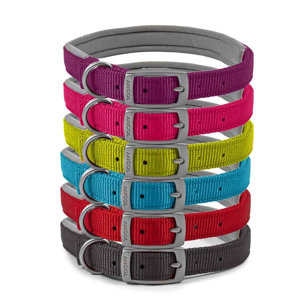 Viva Padded Nylon Collar