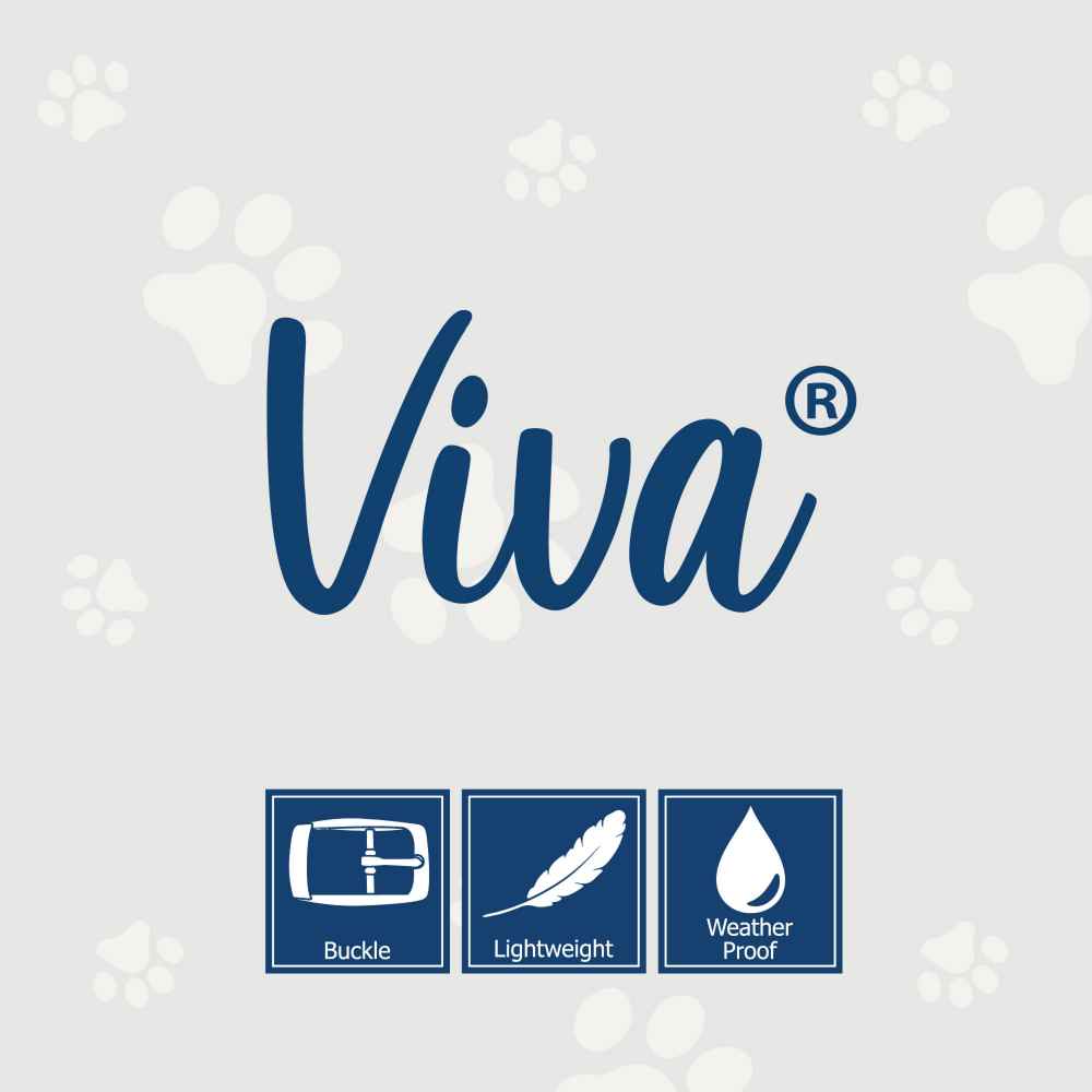 Viva Padded Nylon Collar