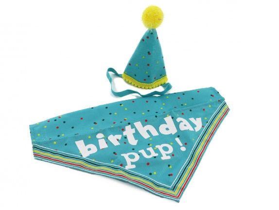 PAWTY TIME BIRTHDAY HAT & BANDANA BLUE