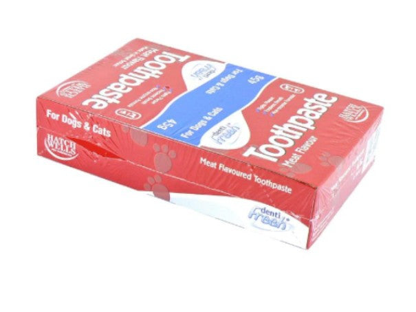 DENTIFRESH TOOTHPASTE 45G DISPLAY