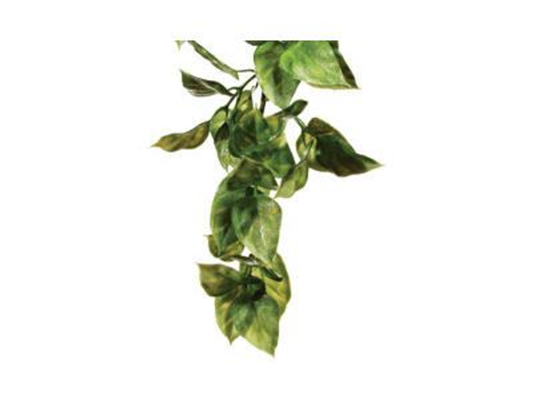 EXO TERRA PLANT MED AMAPALLO