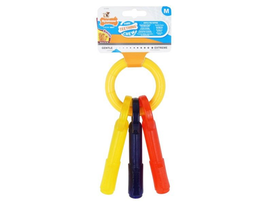 NYLABONE PUPPY TEETHING KEYS