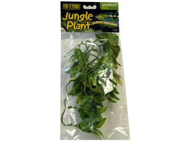EXO TERRA PLANT SM AMAPALLO
