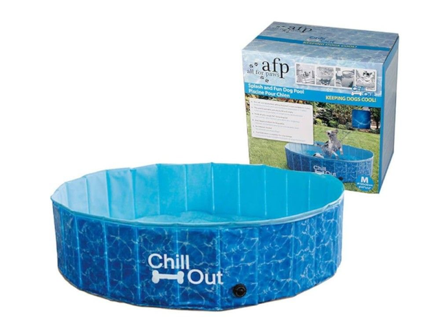 All for paws splash and fun dog pool